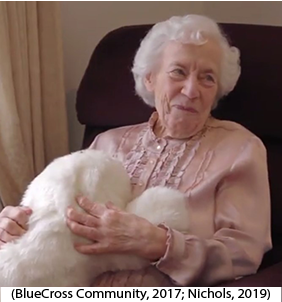 court decisions international custom general principles of law treaties & conventions