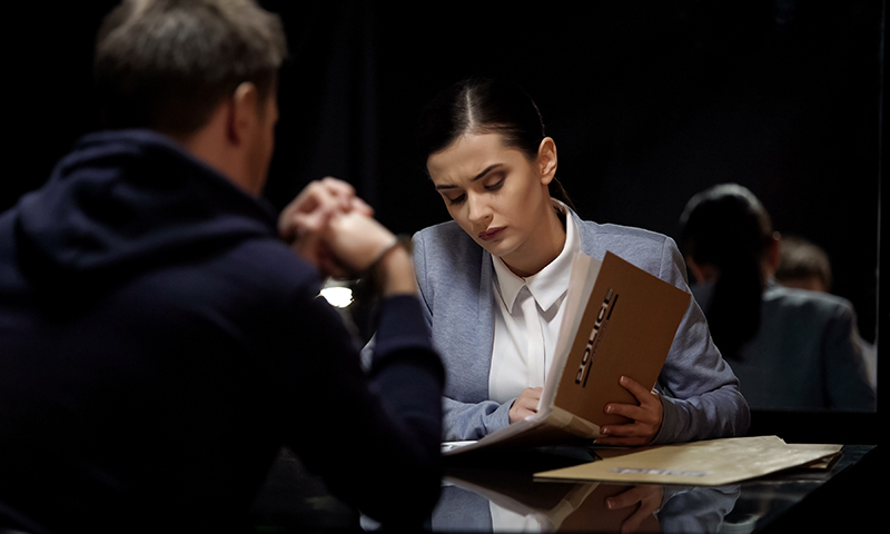 image: lawyer consulting with client