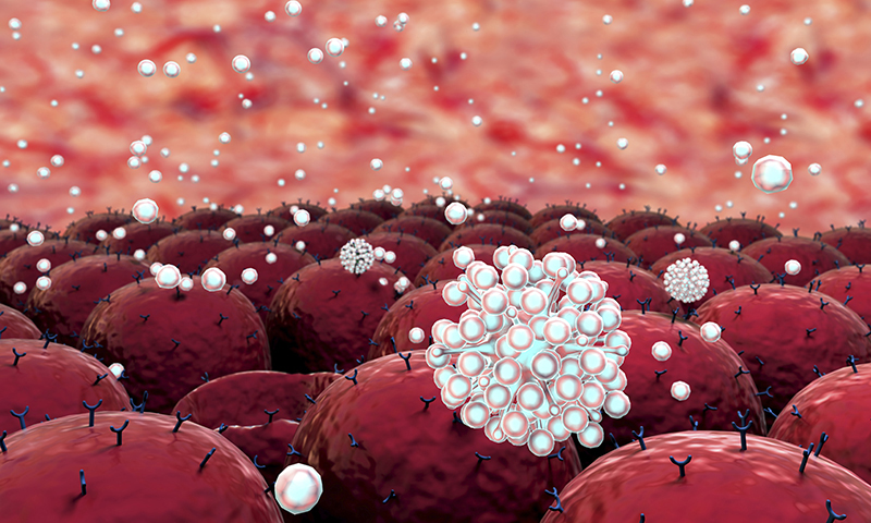 White blood cells rapidly multiply like millions of seeds bursting from ripe seed pods.