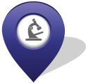 Learning Support pin